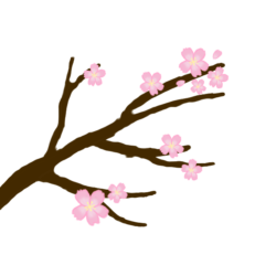 桜 ゆちやんの部屋